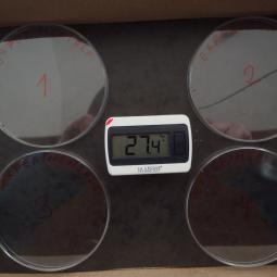 Intérieur de la boite