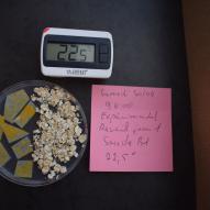 Jour1 Boite N°1 expérimentale