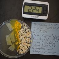 Jour2  Boite N°1 contrôle