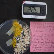 Jour2  Boite N°1 expérimentale