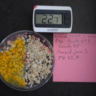 Jour3 Boite N°2 expérimentale