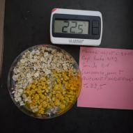 Jour5 plus aucune progression