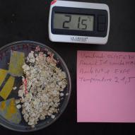 Jour1 Boite N°1 expérimentale