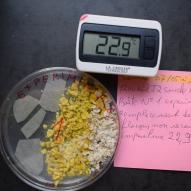 Jour2 Boite N°1 expérimentale