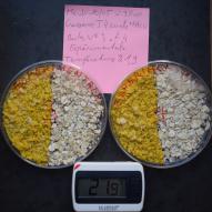 Jour4 Boites N°3 et 4 expérimentale