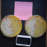 Jour5 Boites N°3 et 4 expérimentale